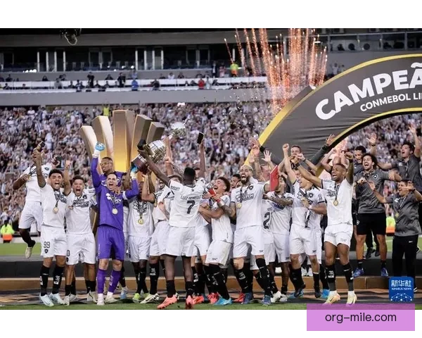 博塔弗戈痛失巴甲领先优势 错失夺冠良机陷入争冠困境